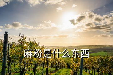 麻粉是什么東西