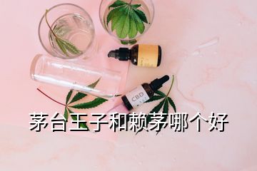 茅臺王子和賴茅哪個好