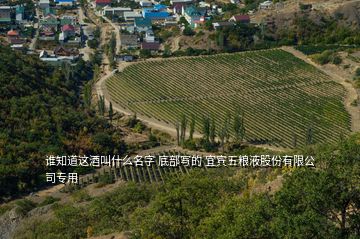 誰知道這酒叫什么名字 底部寫的 宜賓五糧液股份有限公司專用