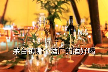 茅臺(tái)鎮(zhèn)哪個(gè)酒廠的酒好喝