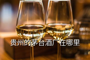 貴州的茅臺(tái)酒廠在哪里