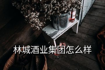 林城酒業(yè)集團怎么樣