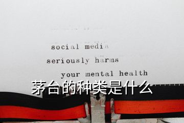 茅臺的種類是什么