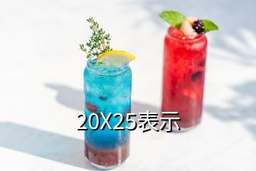 20X25表示