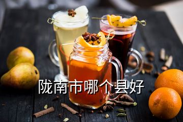 隴南市哪個(gè)縣好