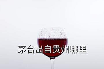 茅臺(tái)出自貴州哪里