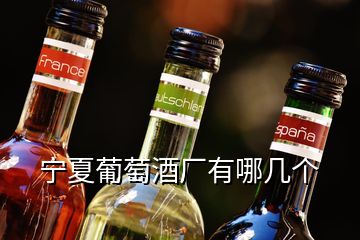 寧夏葡萄酒廠有哪幾個(gè)