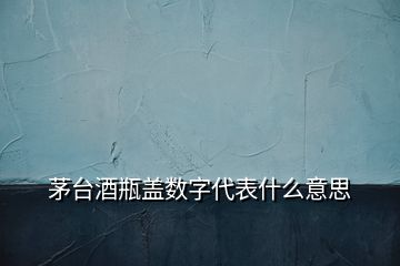 茅臺酒瓶蓋數(shù)字代表什么意思