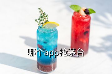 哪個(gè)app搶茅臺(tái)