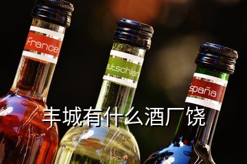 豐城有什么酒廠饒