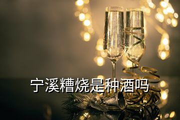 寧溪糟燒是種酒嗎