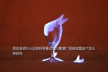 現(xiàn)在投資什么比較好呢看見四川散酒廠招商加盟這個(gè)怎么樣好嗎