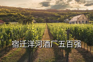 宿遷洋河酒廠五百強