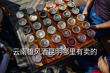 云南雄風(fēng)酒昆明哪里有賣的