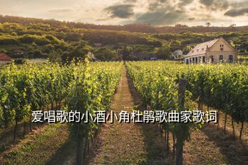 愛唱歌的小酒小角杜鵑歌曲家歌詞