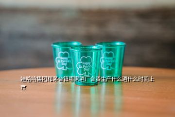 娃哈哈集團(tuán)和茅臺(tái)鎮(zhèn)哪家酒廠合資生產(chǎn)什么酒什么時(shí)間上市