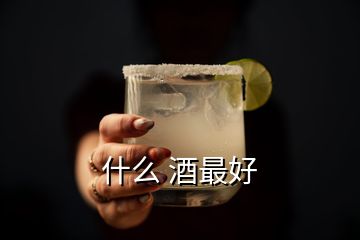 什么 酒最好