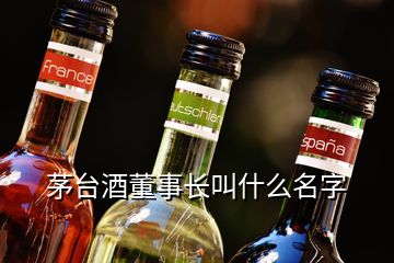 茅臺(tái)酒董事長(zhǎng)叫什么名字