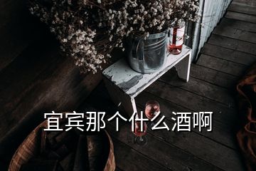 宜賓那個(gè)什么酒啊