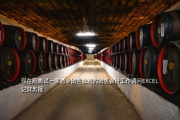 現(xiàn)在剛面試一家酒業(yè)銷售公司的銷售會(huì)計(jì)工作請(qǐng)問EXCEL記財(cái)務(wù)報(bào)