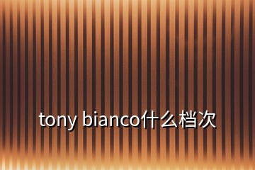 tony bianco什么檔次