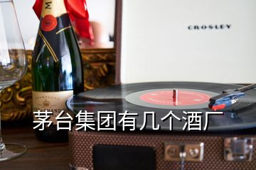 茅臺(tái)集團(tuán)有幾個(gè)酒廠