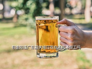 有誰知道廣東韶關(guān)旭日現(xiàn)在還招暑假工嗎