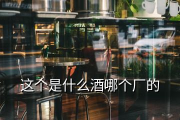 這個(gè)是什么酒哪個(gè)廠的