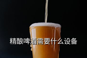 精釀啤酒需要什么設(shè)備