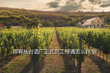 邯鄲叢臺(tái)酒廠正式員工待遇怎么樣 說