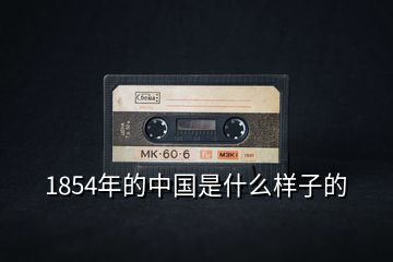 1854年的中國是什么樣子的