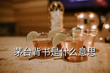 茅臺(tái)背書是什么意思