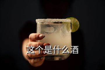 這個(gè)是什么酒