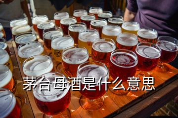 茅臺(tái)母酒是什么意思