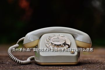 貴州茅臺酒廠集團技術開發(fā)公司茅臺醇T9是什么意思