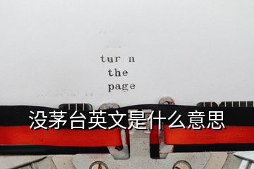 沒(méi)茅臺(tái)英文是什么意思