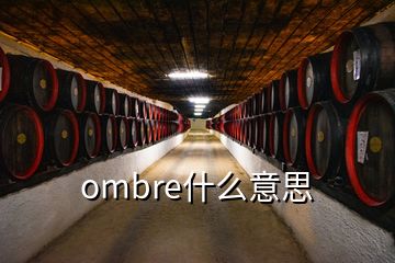 ombre什么意思