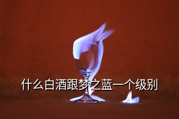 什么白酒跟夢(mèng)之藍(lán)一個(gè)級(jí)別