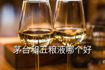 茅臺(tái)和五糧液哪個(gè)好