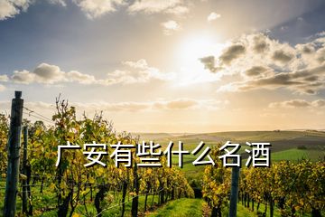 廣安有些什么名酒