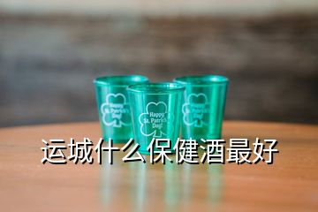 運(yùn)城什么保健酒最好