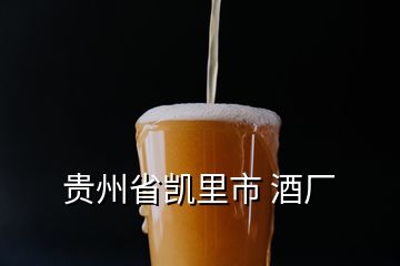 貴州省凱里市 酒廠