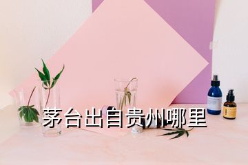 茅臺(tái)出自貴州哪里