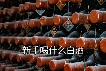 新手喝什么白酒