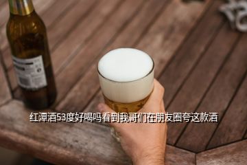 紅潭酒53度好喝嗎看到我哥們在朋友圈夸這款酒