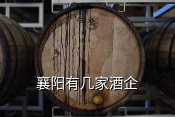 襄陽(yáng)有幾家酒企