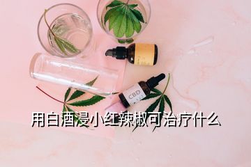 用白酒浸小紅辣椒可治療什么