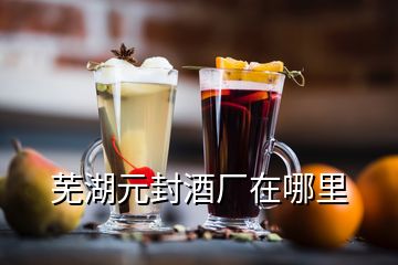 蕪湖元封酒廠在哪里