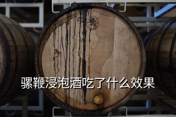 騾鞭浸泡酒吃了什么效果