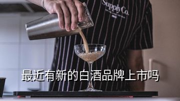 最近有新的白酒品牌上市嗎